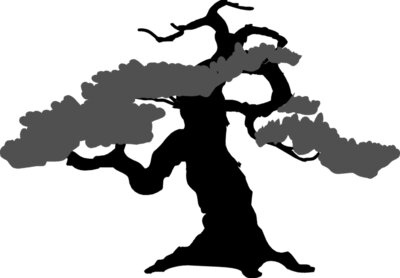 Bonsai Silhouette