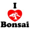 I Love Bonsai